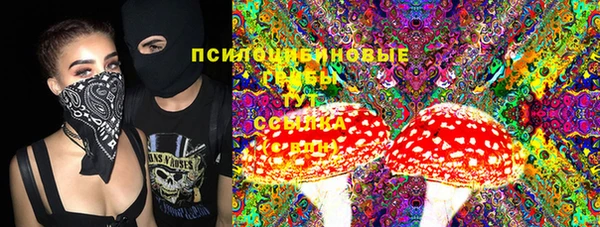 PSILOCYBIN Волосово